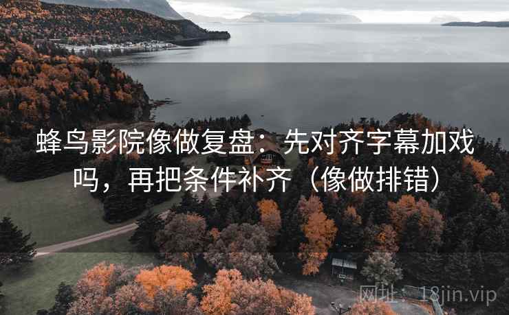 蜂鸟影院像做复盘：先对齐字幕加戏吗，再把条件补齐（像做排错）