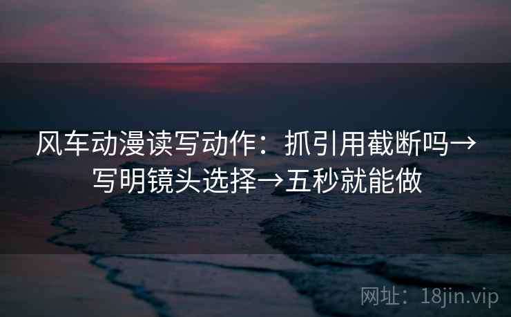风车动漫读写动作：抓引用截断吗→写明镜头选择→五秒就能做